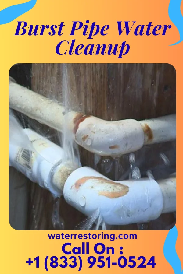 Burst Pipe Water Cleanup in Wahkon, MN